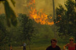 Foto, Bild: Menschen flchten vor Waldbrand