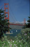 Foto, Bild: Golden Gate Bridge vom Park aus