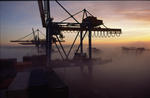 Foto, Bild: Containerbrücken des CTA Container Terminal Altenwerder Hamburg ragen aus dem Nebel im Abendlicht