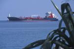 Foto, Bild: Tanker (Chemikalientanker, Produkttanker) vor der griechischen Küste bei Kalamaki mit Agave