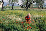 Foto, Bild: Mädchen in Blumenwiese  auf Mallorca