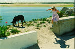 Foto, Bild: Mädchen in Sommerkleid springt von einer Mauer mit schwarzem Hund