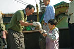 Foto, Bild: Junge kauft einen Tintenfisch in Pusan
