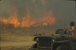 Foto, Bild: Waldbrand ist nicht zu löschen
