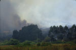 Foto, Bild: Waldbrand bis zum Gehöft