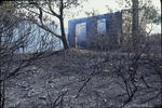 Foto, Bild: Nach dem Waldbrand bleibt eine Hausruine zurück